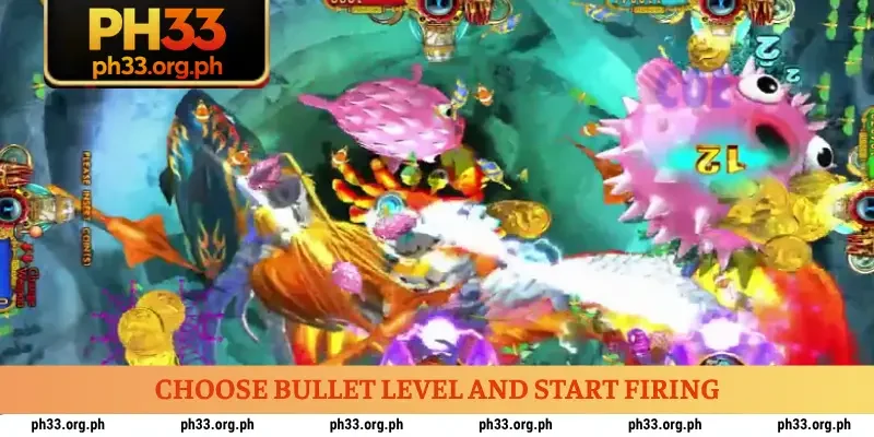 Choose bullet level and start firing