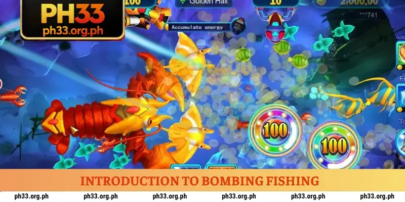 Introduction to Bombing Fishing