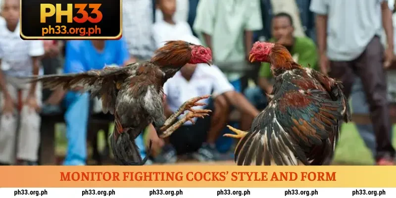 Monitor fighting cocks’ style and form