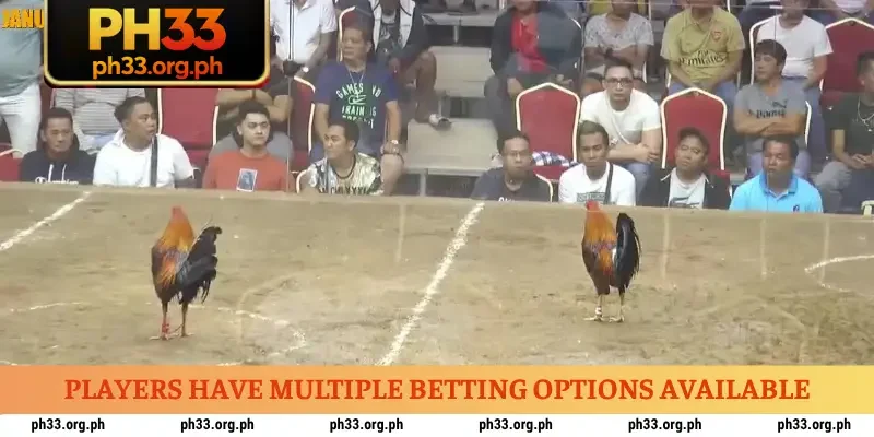 Players have multiple betting options available