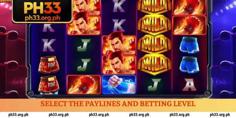 Select the paylines and betting level