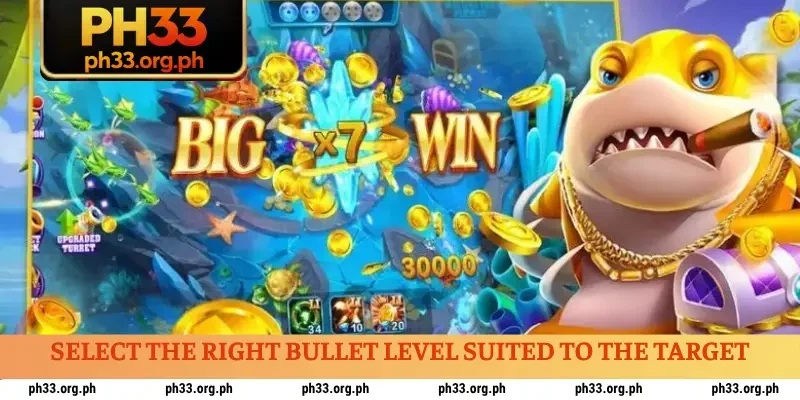 Select the right bullet level suited to the target