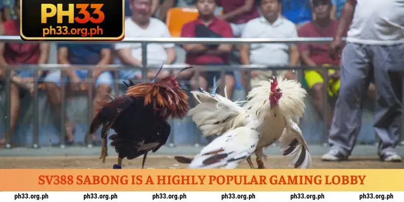SV388 Sabong is a highly popular gaming lobby